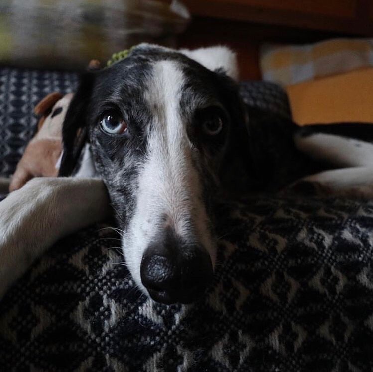 MaevenMe tweet media