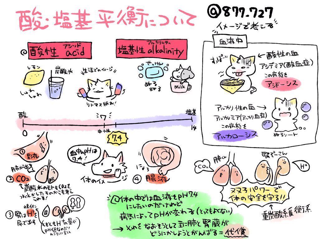 毎年話していることがあって、この時期「国試に酸塩基平衡出たら捨てる」と言う人がいて、寧ろ覚えなくても点がとれる分野なので絶対に向き合ってくれー!!っていつも説得しているのでそう思っている人がいたら絶対向き合ってください…!わからない問題あったら聞いてくださいそれくらい臨床でも大切 