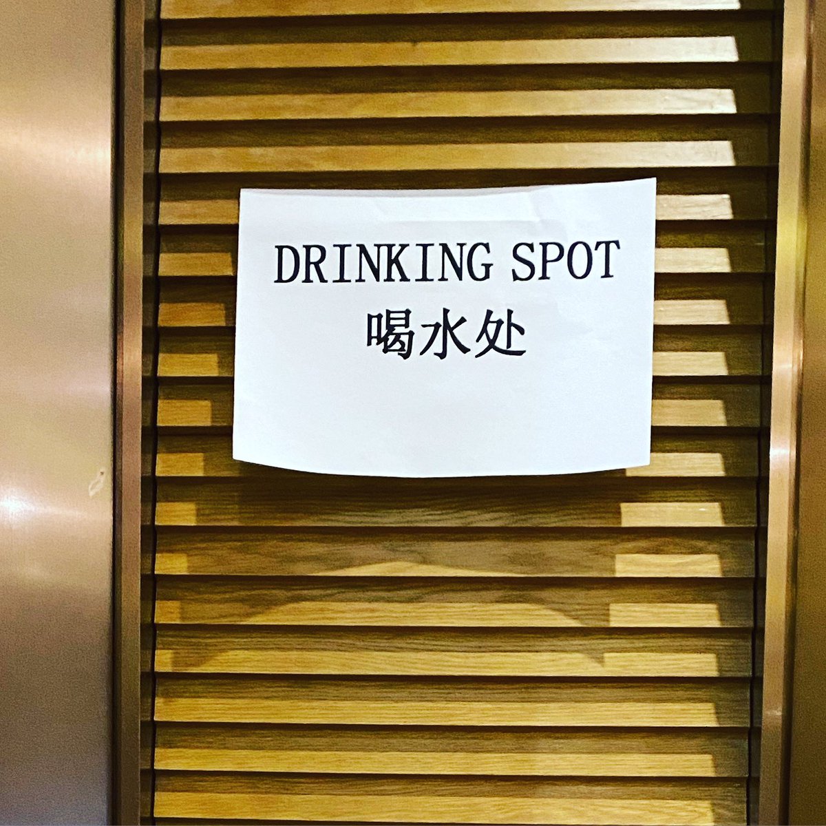 TraceyLeeHolmes's tweet photo. Been too busy last couple of days, but here’s my #signaday at the #beijing2022 #olympics. We are not allowed to eat or drink in the media workroom (1st time ever) so they have established a water/coffee sipping area around the corner. #thoughtful. https://t.co/jrDWT1yIjU