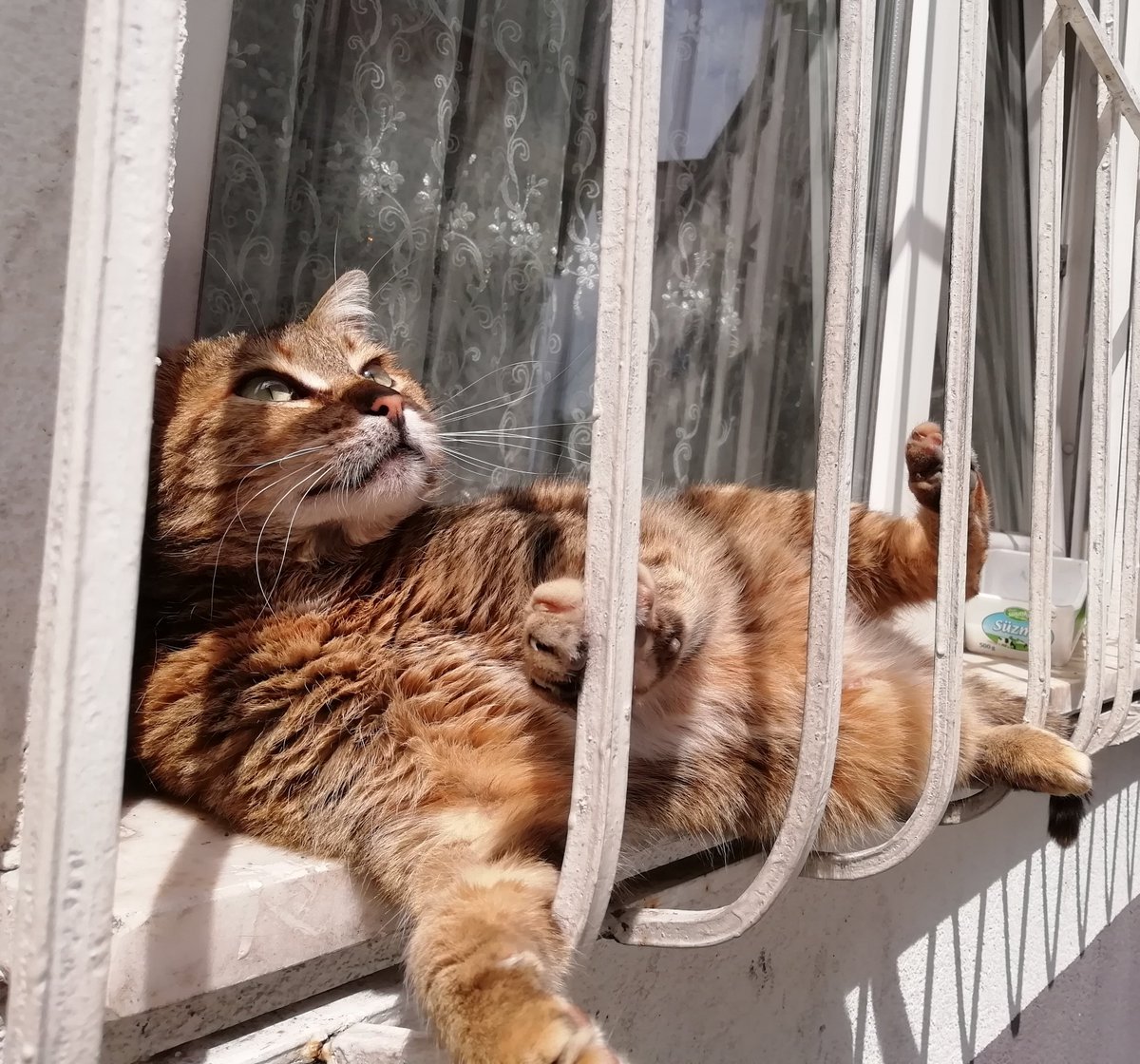 Şöle pos vermşdim nasılım güsel mi (çk güselm)