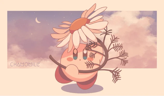 🌼 