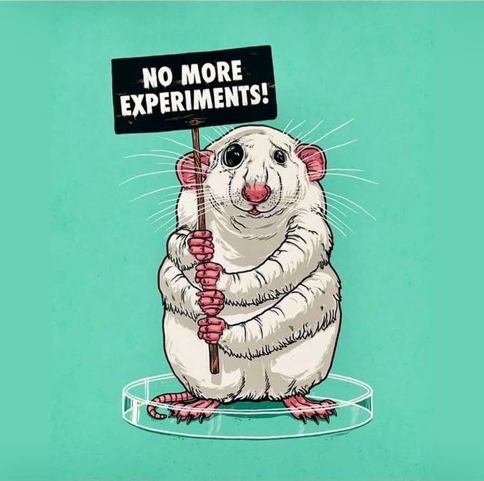 Лабораторная крыса. Научный эксперимент крэйн пьянтанида. Тестируют косметику на живот. Эксперименты над людьми арты. Эксперимент против.