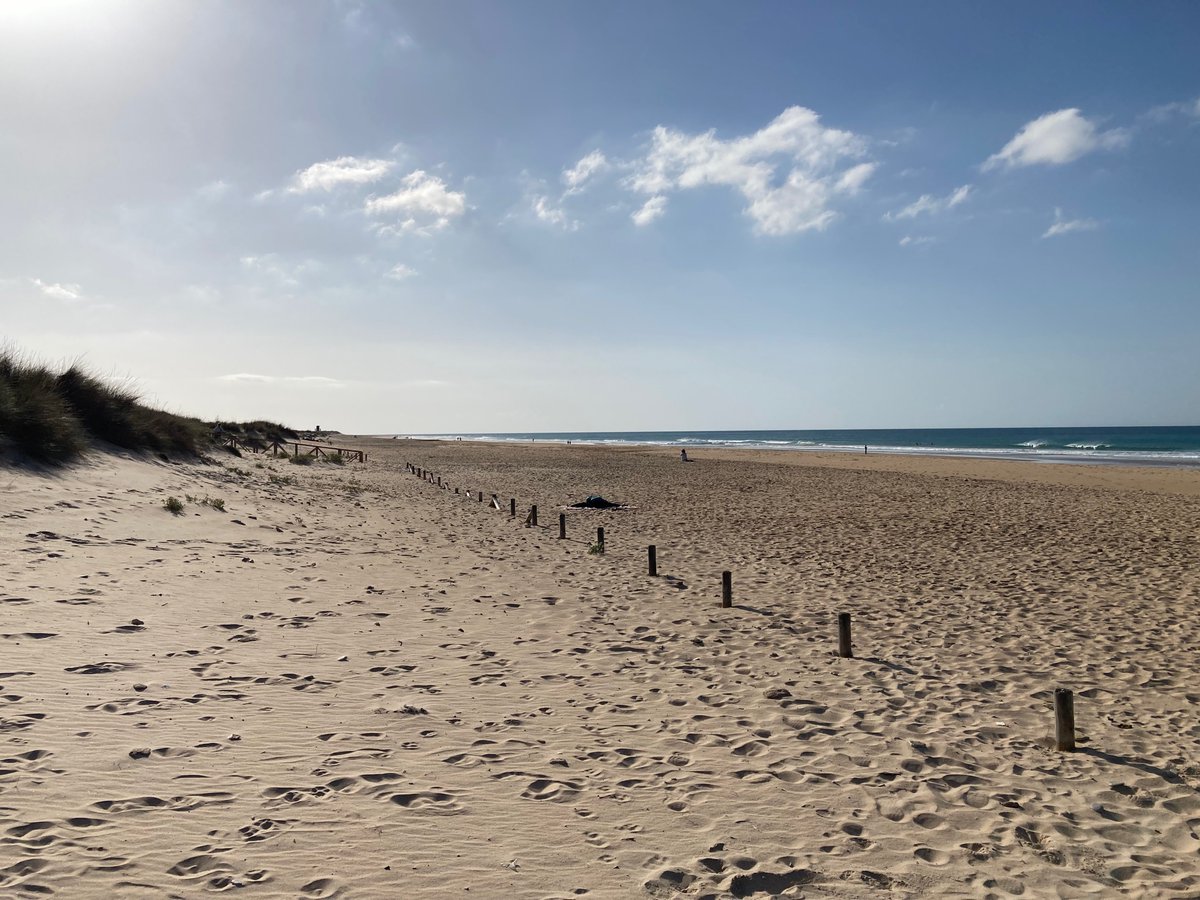 En Estados Unidos se llama la Gran Dimisión 
En Reino Unido, los quitters 
En España, gaditanos

Cádiz vive en la vanguardia desde hace años