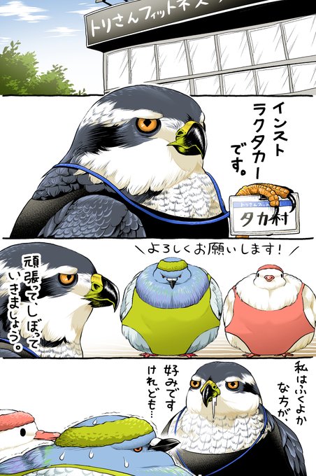 インストラクタカーさんと、痩せたいハトさん達 