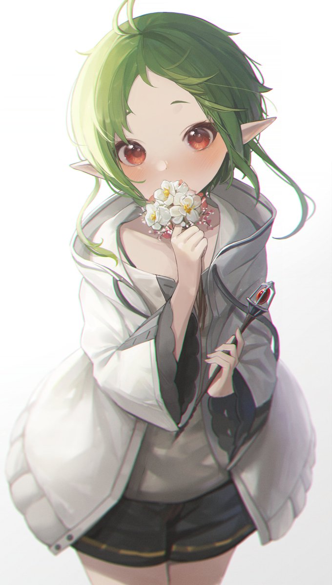pointy ears green hair solo 1girl flower shorts holding  illustration images