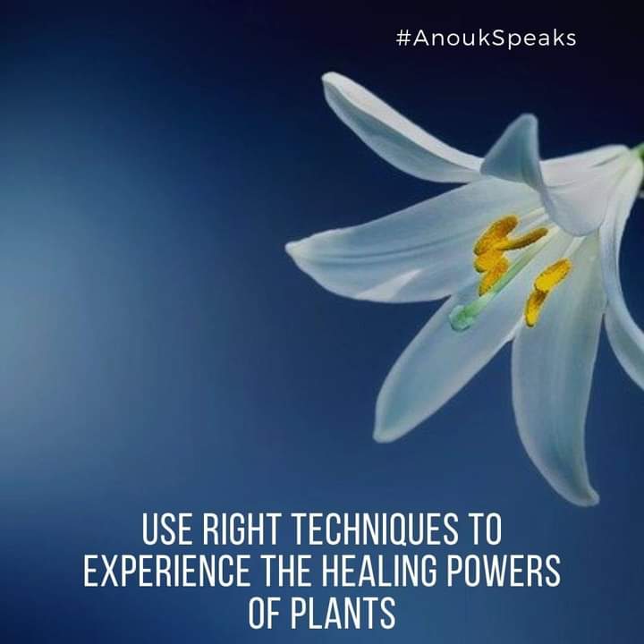 #AnoukSpeaks When you have to experience the #healing powers of #plants, you have to do it with the right techniques. I will help you with it.