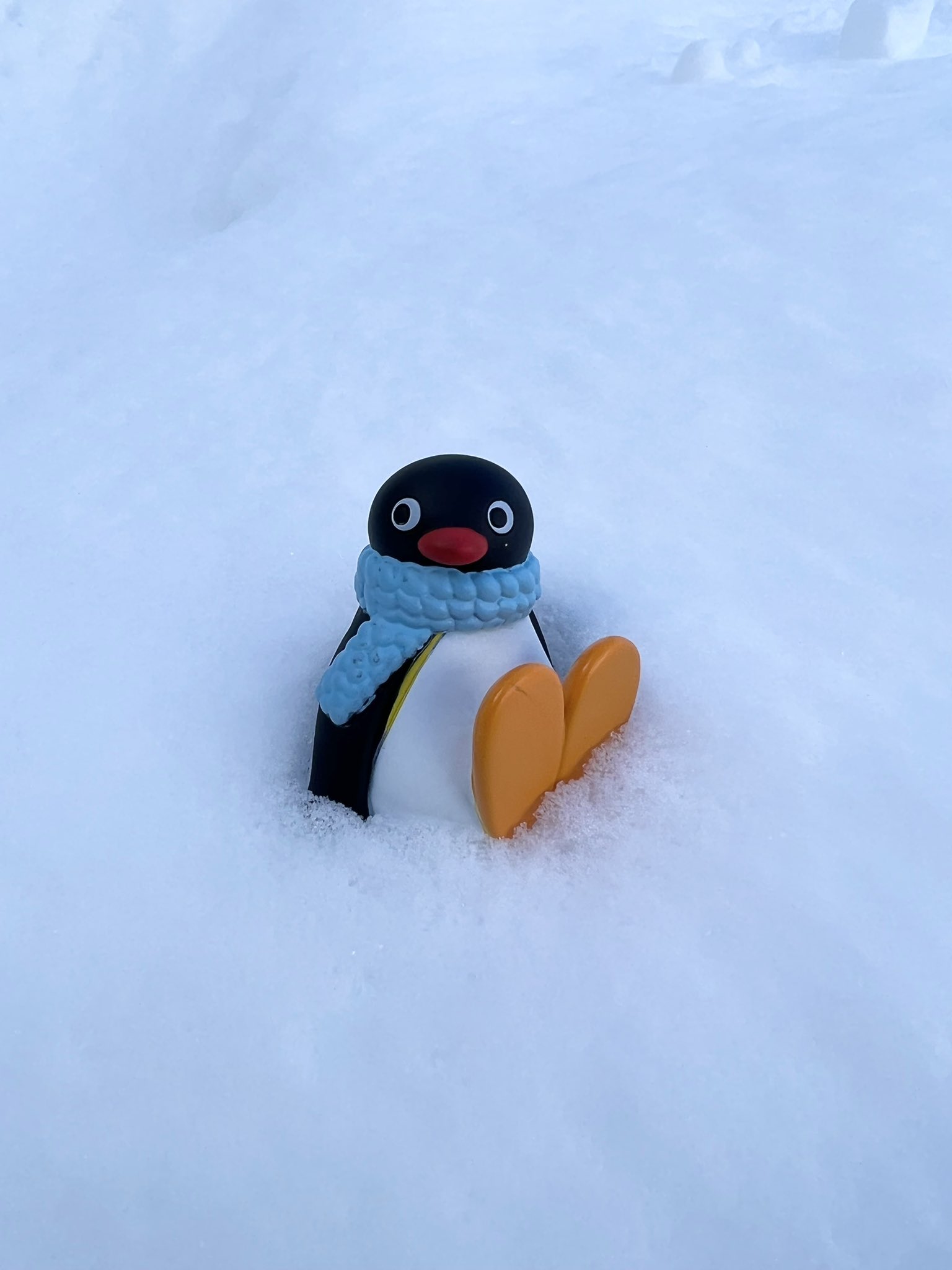 岩崎 諒太 昨日河西さんがピングーくれましたー ピングー In ザ イワテ 岩手の雪はサラサラでした T Co 9cpqjvygtu Twitter