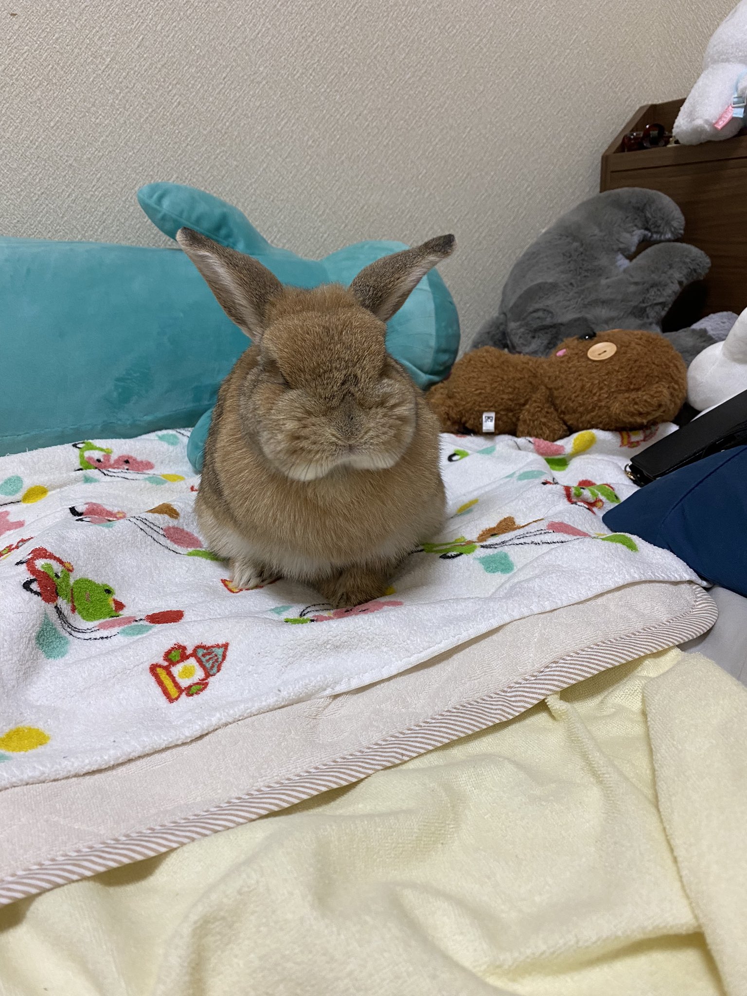 きなこ です Amazon | 黄豆粉 きなこ 12cm ABS&PVC製 塗装済み 完成品