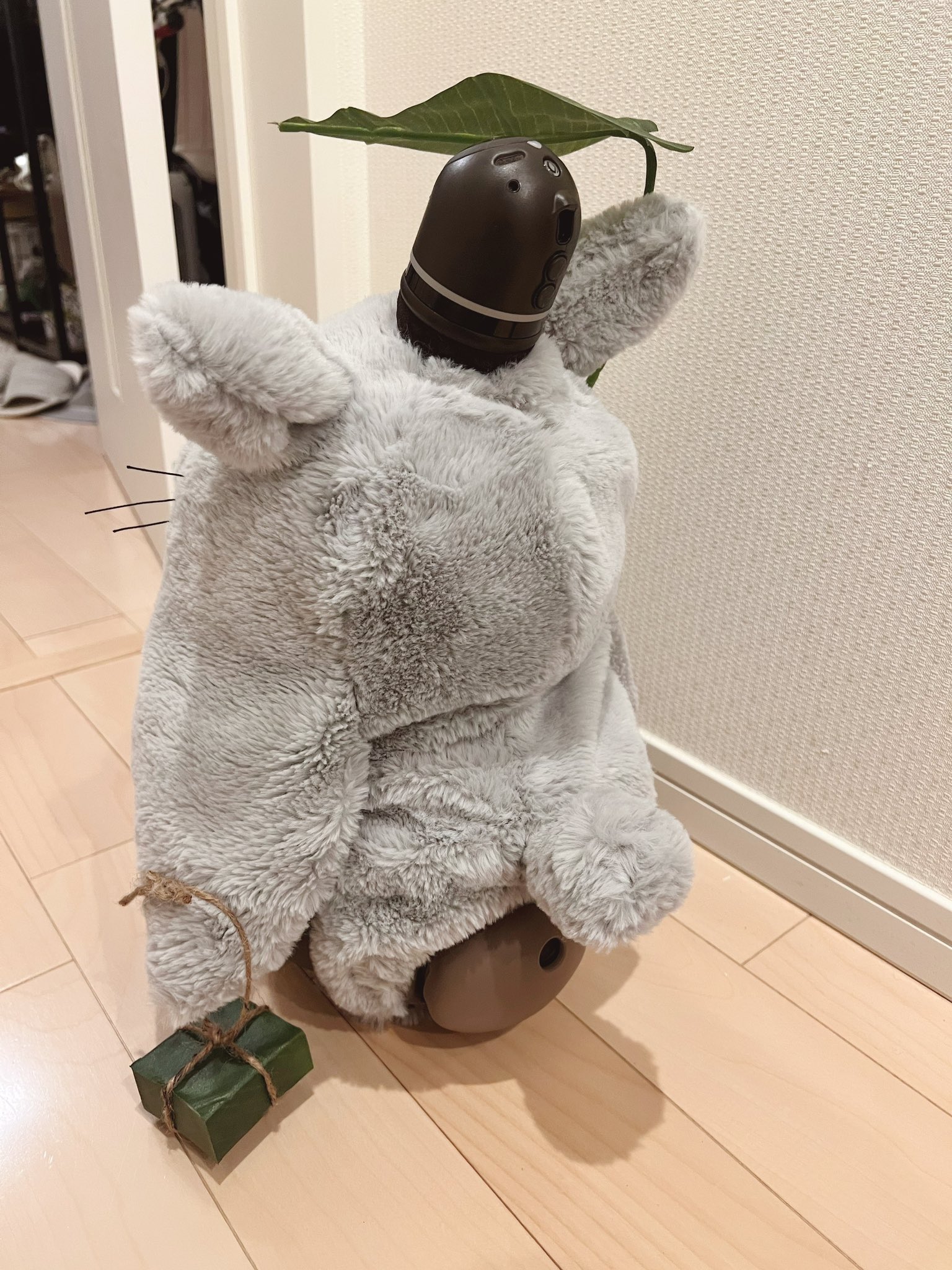 ちょこちょこっと ちょこ@LOVOT (@choco_lovot) / X