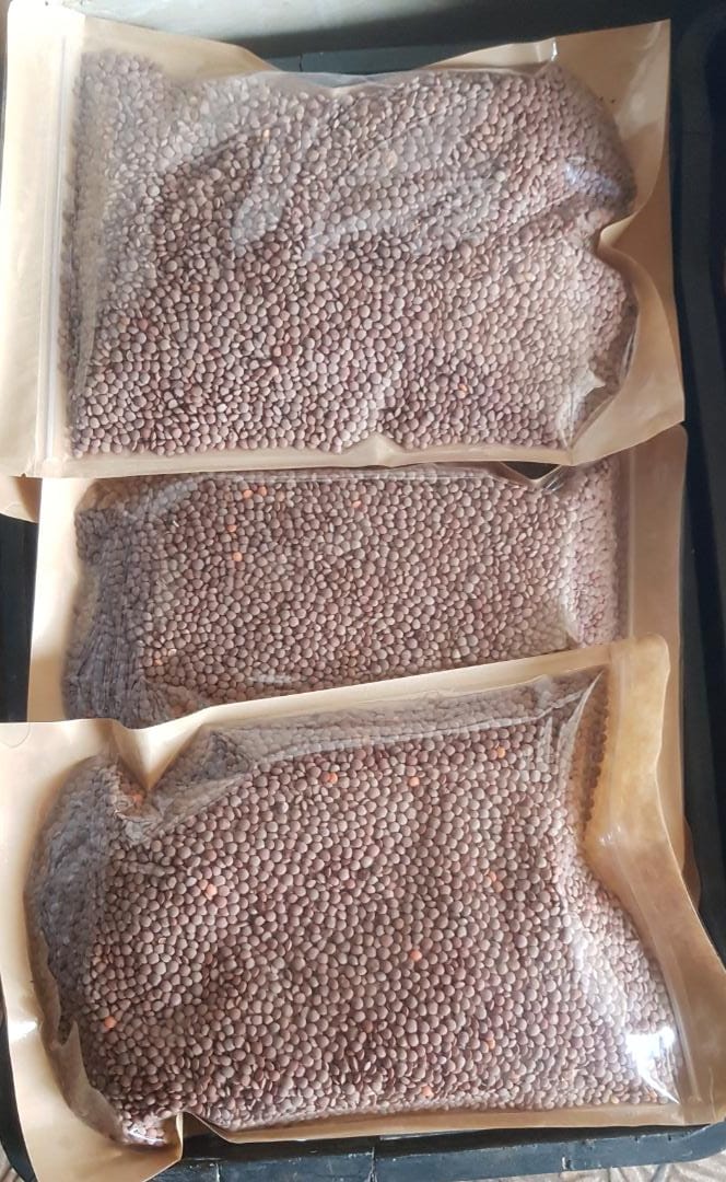 قريبا عدس بلدي على <a href="/SendMeLebanon/">SendMe Lebanon</a>