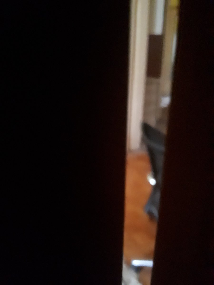 xXKattXx2's tweet photo. Just chilling in your closet https://t.co/nc3HsrutGP