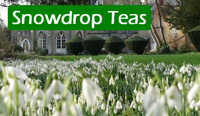 Next weekend sees the return of our popular 'Snowdrop Teas' open days. Free entry to explore the estate and spot the #snowdrops. Parking: £5/car; tea, coffee &amp; cakes available. Booking advised ⬇️

braziers.org.uk/programme/