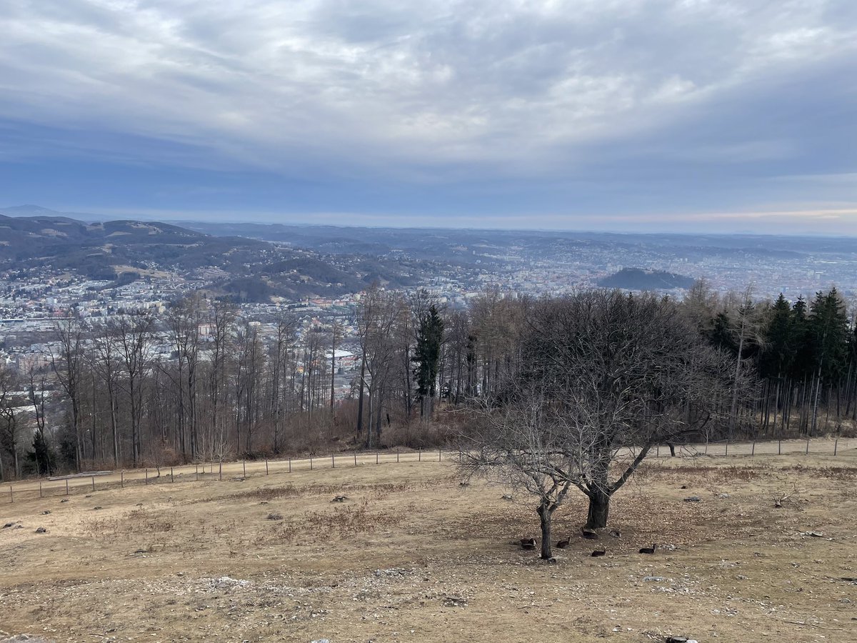 Xhrisli's tweet photo. Graz von oben #letsgoGraz https://t.co/ofcJgBY22D