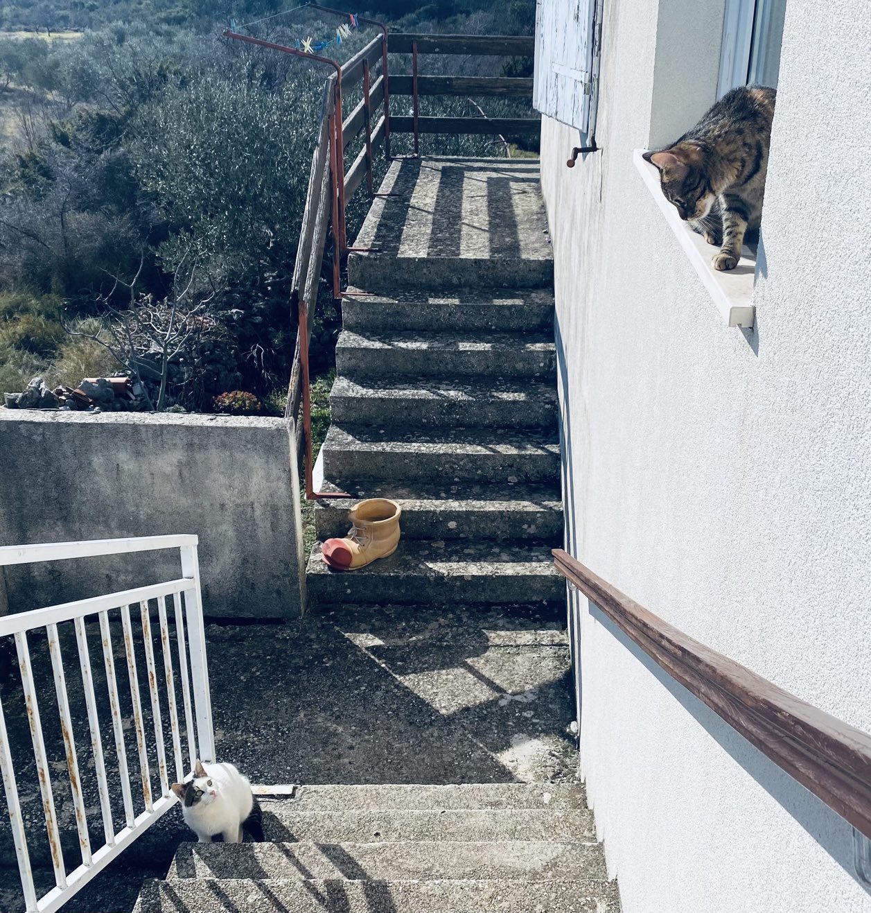 O romeo zasto si romeo