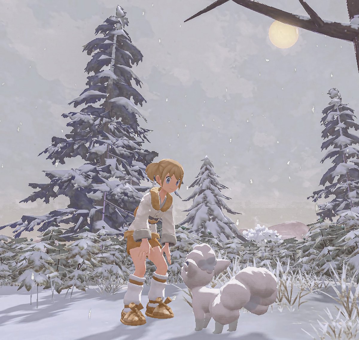 happy sunday everyone 🤍