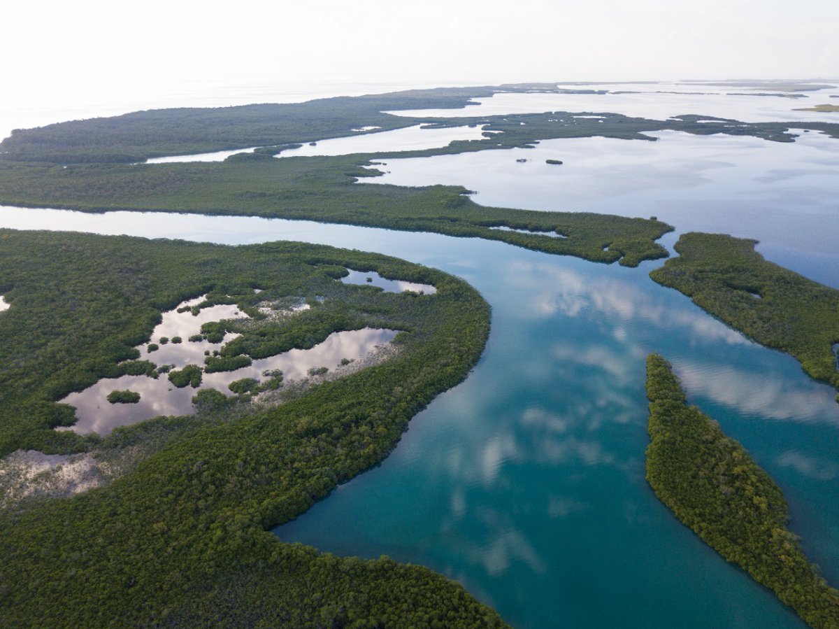 belizemedia's tweet photo. Good Morning #Belize https://t.co/zsBYTxGeYQ