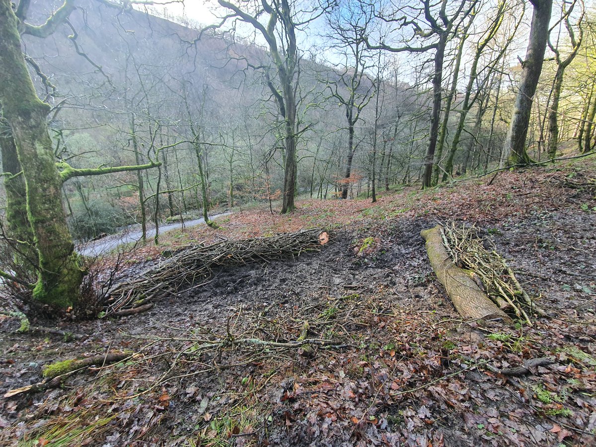 townsendlsamuel's tweet photo. Another successful leaky dam session at @HardcastleNT with @slowtheflow_UK. We had all 4 seasons- sun, rain and hail. But that didn't stop our determined group of volunteers and 4 legged friend!

All in aid for #slowingtheflow in the #caldervalley!

Look forward to the next one! https://t.co/AWTam2hNhX