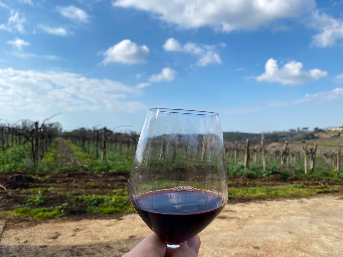 Fra7russo's tweet photo. 🍷 #CantinaRaparelli Una piccola cantina di qualità su #Lanuvio di 10 ettari in provincia di #Roma
Degustando un #RomaDoc blend 50% Montepulciano 50% di Sangiovese annata 2020
#winelover #winelovers #vinoitaliano #redwine https://t.co/RaruxbYj8P