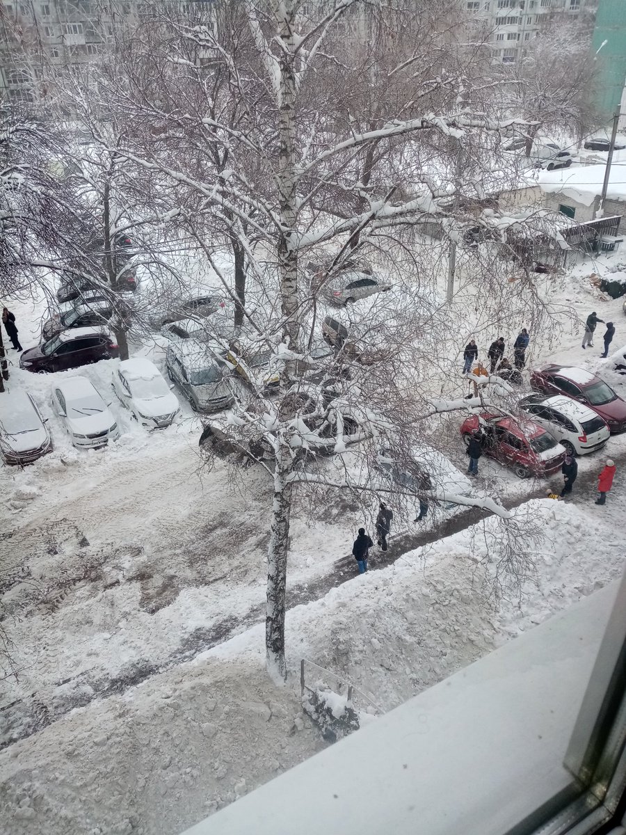 Елена tweet media