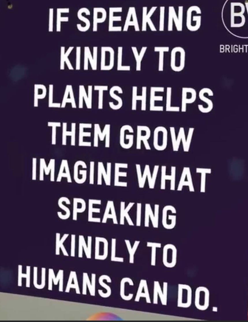 Bronawyn OLeary tweet media