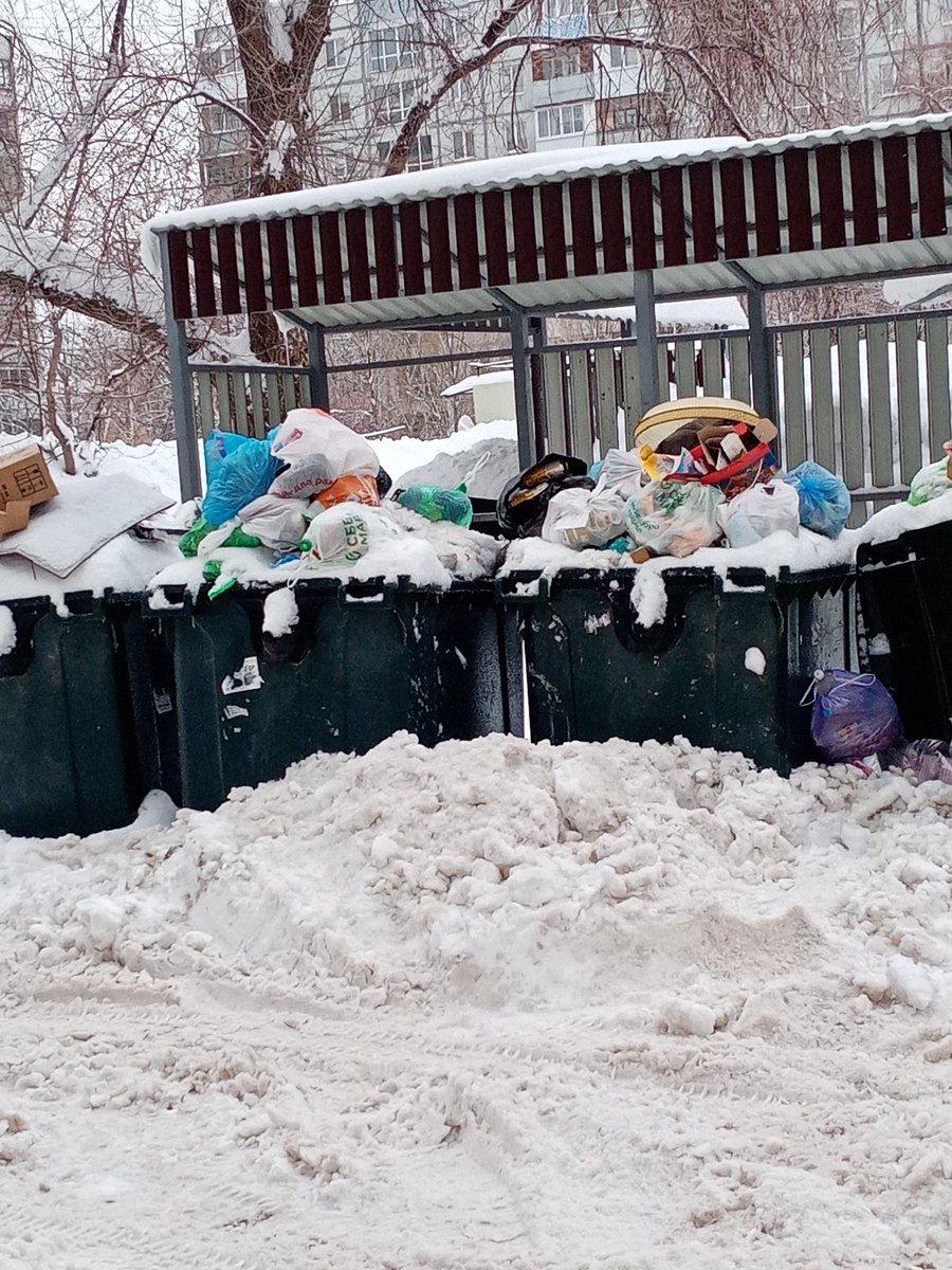 Елена tweet media