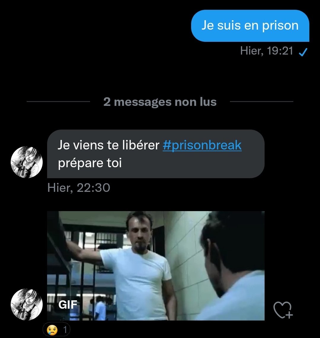 Yobelle9's tweet photo. Merci Gryub pour l'aide #PrisonBreak #prisoncutie #BalkanyAuGnouf https://t.co/Vjjs5gDprT