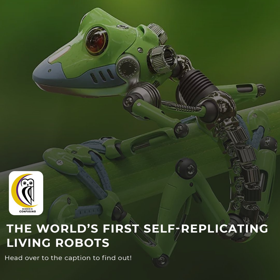 Team_SiC_2020's tweet photo. The world's first self-replicating living robots
Written by: Unmesha Paul (Guest Writer)
Reviewed by: Kaustav Sen
Design by: Debanjan Basu
Click to know more: https://t.co/eHkRvnXdNQ
#science #scienceshorts #factoids #robots #robotics #biology #livingrobots #technology https://t.co/uiR9P4kZy0