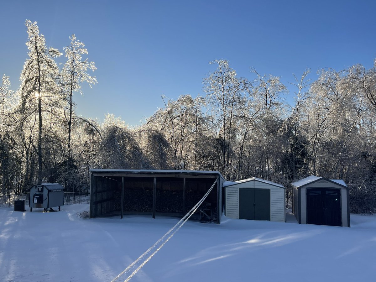 JamieDPower's tweet photo. The sun on the ice covered trees looks beautiful this morning. https://t.co/bDES7RVIpb