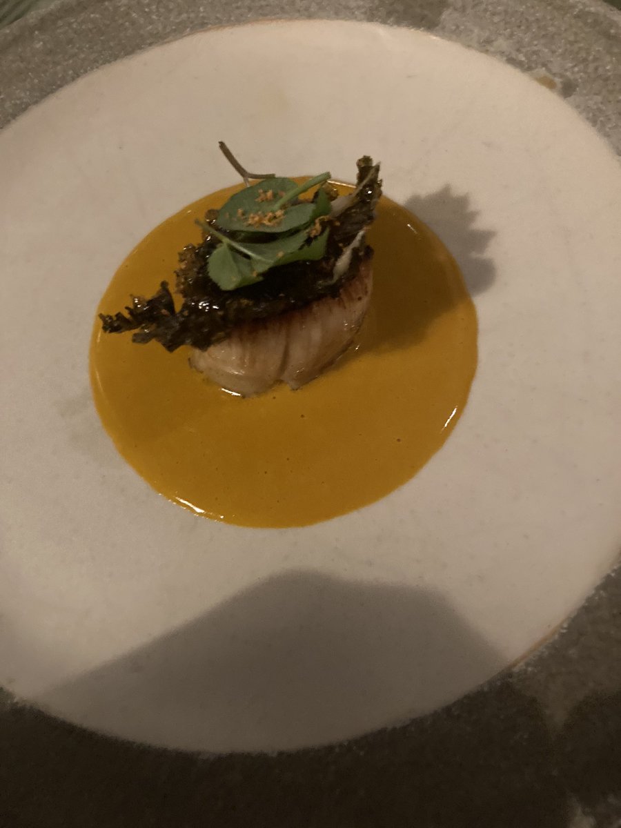 orlabaz's tweet photo. After being inspired by #BeyondTheMenu, we had a wonderful stay at the @cliffhousehotel last week. The tasting menu is spectacular, every dish was incredible. The service, the views &amp; the swimming pool are the icing on the cake. https://t.co/4ZjhwUQ5aH