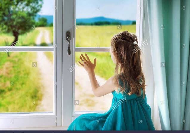 Sally open the window in her room