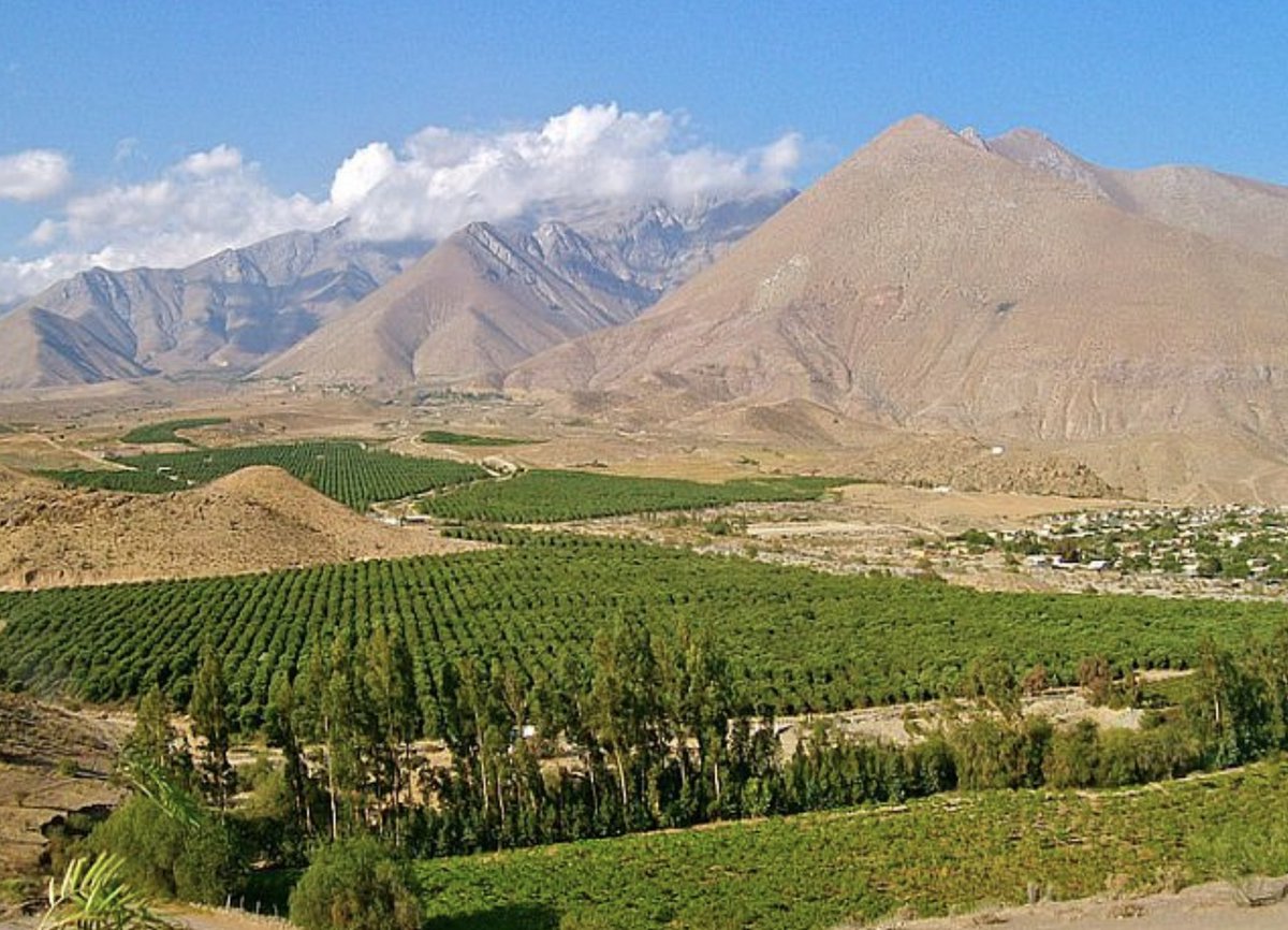 Quintin Schevernels tweet media