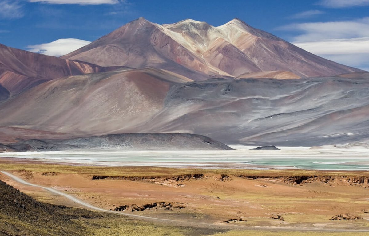 Quintin Schevernels tweet media