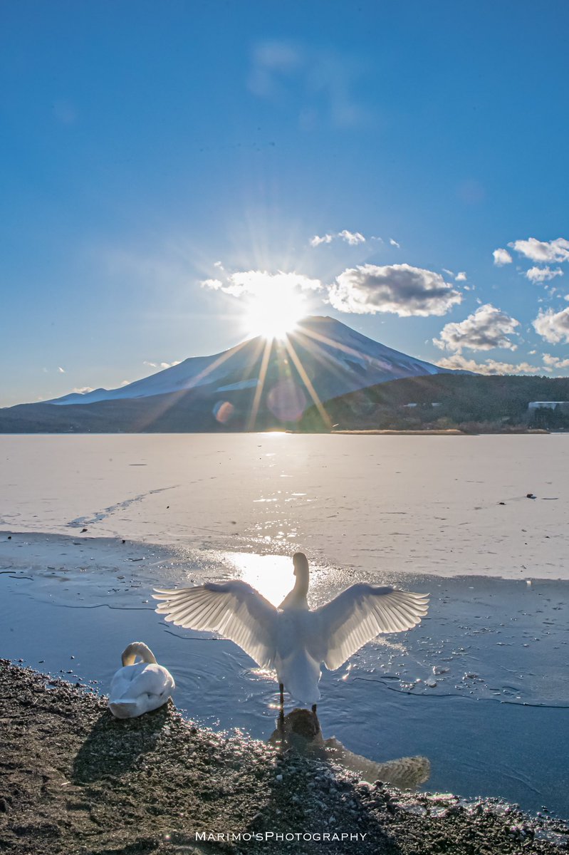 スキージャンプの小林選手の美しい滑空を見て今日ダイヤモンド富士に羽ばたく白鳥を思い出しました😊✨