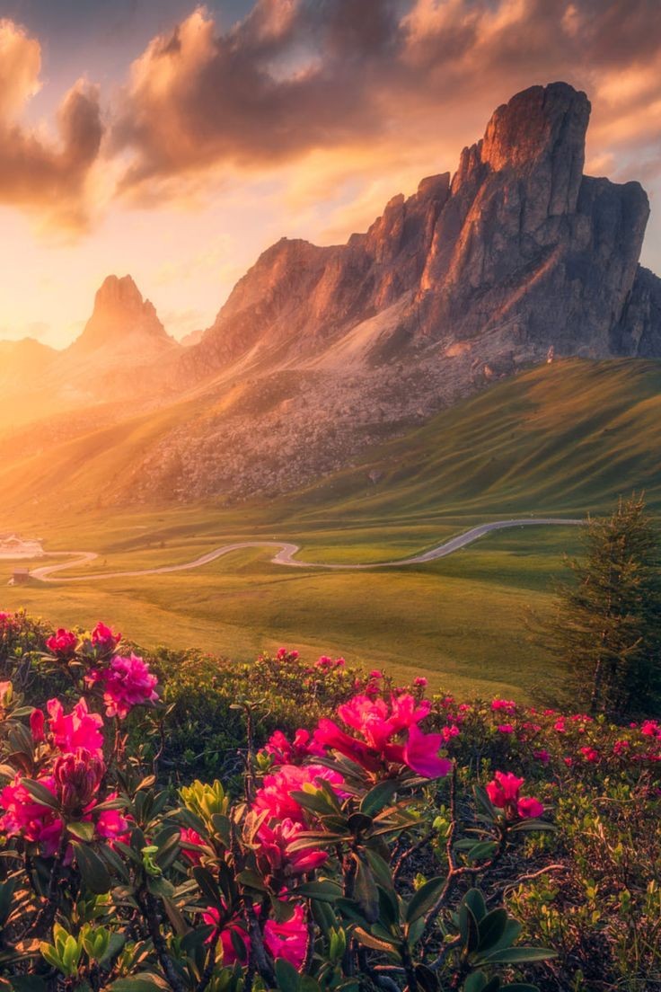 Angel_Stockler's tweet photo. :¨·.·¨:
 `·. .🦋   .⋆*ೄ.•*¨*•.🌸🌿💐.⋆*ೄ.•*¨*•. https://t.co/yV93KgMK0P