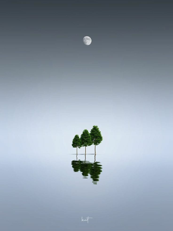 'Mind is a flexible mirror, adjust it, to see a better world.'
➪ Amit Ray

◦

📷 kathrin Federer, Three Trees

#mc ☆