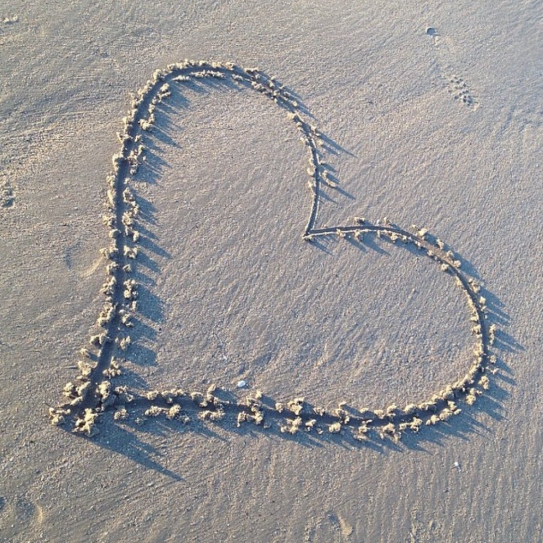 rwstlodge's tweet photo. It can be tricky planning a Valentine’s Day Cupid would be proud of, try something different this year and surprise your
loved one with a stunning Welsh getaway to RWST.

In our latest blog, we have compiled a list of 6 ways to spend the
perfect Valentine’s Day in North Wales. https://t.co/qJgLPdDCDO
