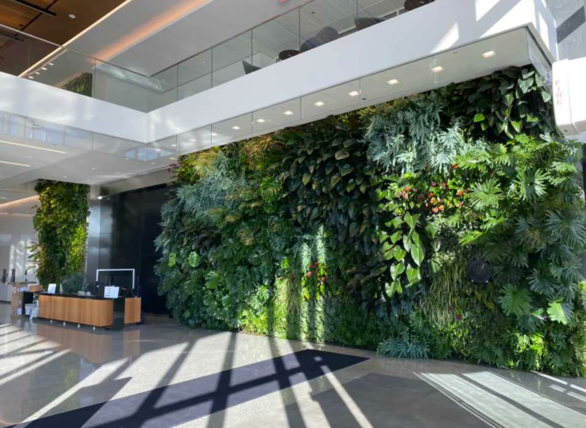 FurbishGreen's tweet photo. Our two BioWalls at the Wheaton Town Center are so productive, that the employees always get cuttings from our maintenance crews for rooting at home. Sometimes our "Nature at Work" even spreads joy outside the workplace. :) #natureatwork #furbish #biowall #green @MoCoCouncilMD https://t.co/pNUpkOOme6