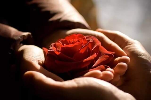 Любви и счастья. Ирина гюнтер. Тепла и нежности в душе. Ладонь. Свет в ладонях.