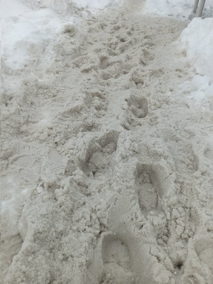 Уваж <a href="/samara_in/">Администрация Самары</a> <a href="/SamMobilePriem/">Мобильная приемная Губернатора Самарской области</a> столько снега в самом центре Глинки, за зиму  НИ РАЗУ НЕ ВЫВОЗИЛСЯ <a href="/krasnoglin_adm/">Администрация Красноглинского ВГР</a> не реагирует. Ходить нормально не возможно