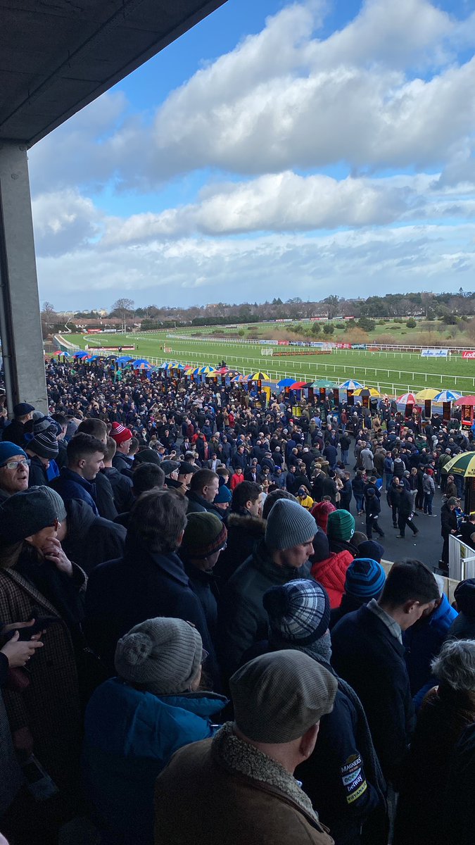 BoormanRuairi's tweet photo. The Form🐎🐎 https://t.co/3pUkg86V01