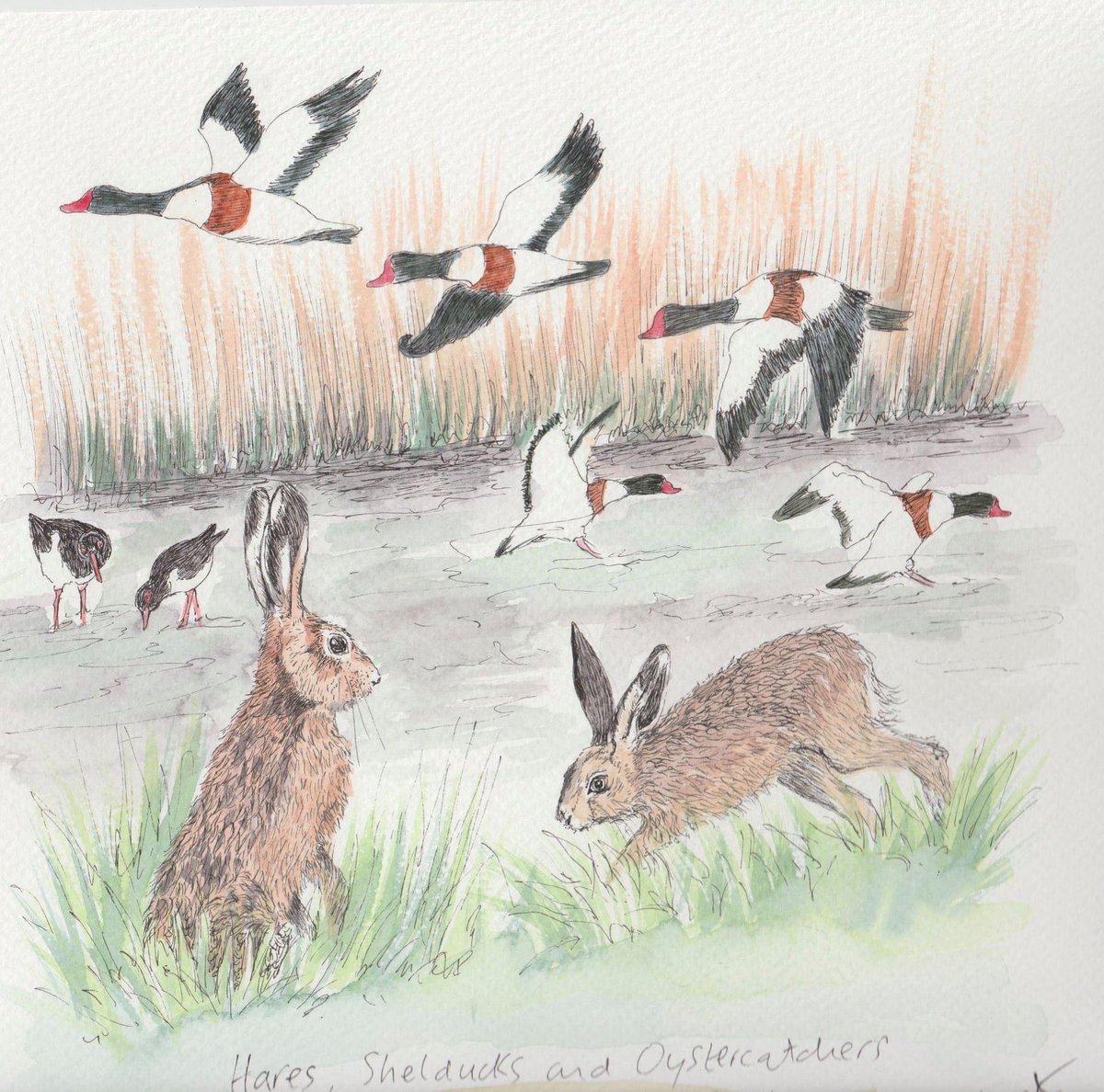Rodden Hive, The Fleet #dorset. My painting for February #oystercatchers #shelducks #hares