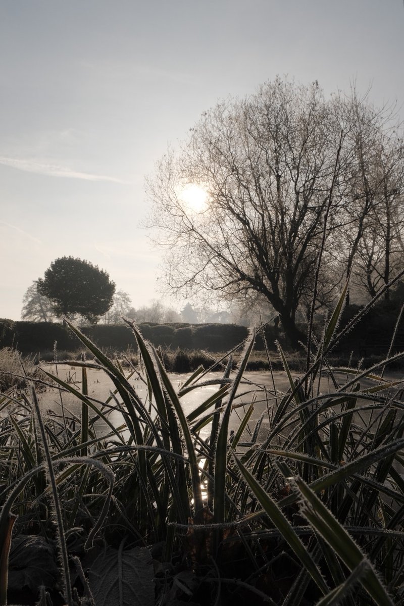 ElizabethArgyll's tweet photo. A cold winter morning light.
#weather #frost #coldweather #LowWinterSun #Nikon #ThePhotoHour #StormHour https://t.co/Bwi8cC6cyq