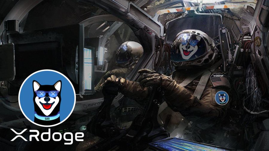 HebertWilson3's tweet photo. @Eaglebro45 #xrdoge #xrdogeArmy let's goooo, buckle up. https://t.co/hmTzi921UZ