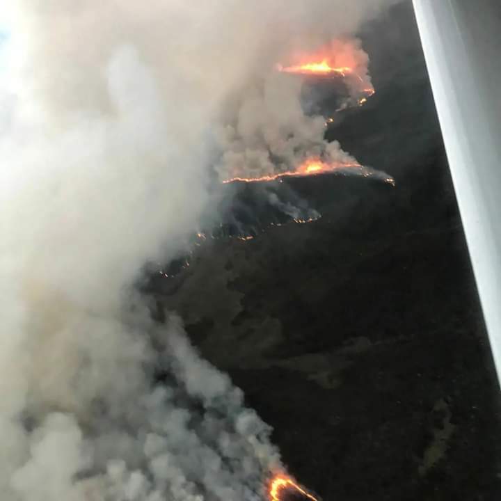 HUGE FIRE reported at Aberdare National Park; extent of damage still unknown as the flames that started last night are yet to be contained. https://t.co/9y5mDGUFEb