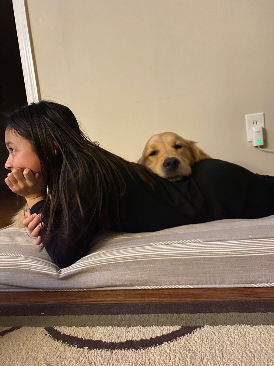 ECADServiceDogs's tweet photo. #sundaysnuggles for #Oscar and #HomeHandler #bff Olivia! 🦮🤗🐟❤️#ECADServiceDogs #fishy #ServiceDoginTraining https://t.co/1VQGNER0Gi