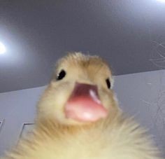 Arkadaşlar bu ülkeden ne bir kapanma ne de bir hayır gelir
#SoemestrTatiliUzatılsın