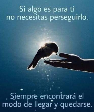Adl24H's tweet photo. Con fe en Dios #libres #adictos #alcoholico https://t.co/ZGw0k6Q6SJ