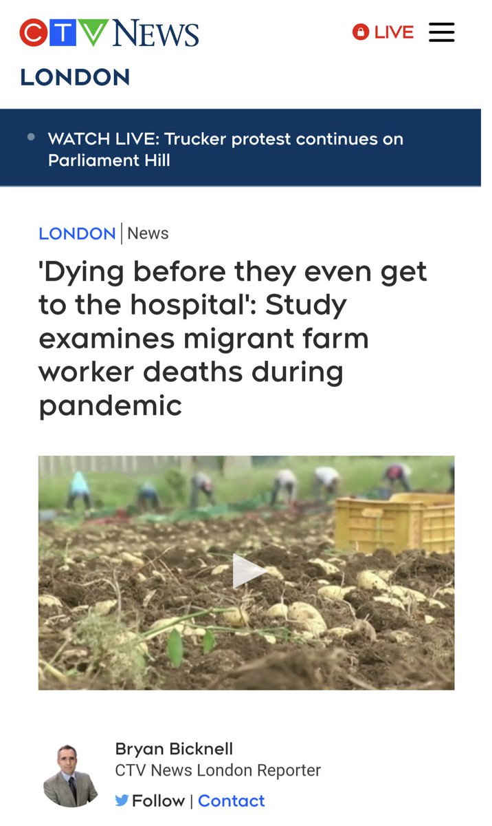 ___dont_panic's tweet photo. A reminder of who actually farms Canada's food, who dies picking the soil, and who delivers it to your home. https://t.co/QUfEcAXz1F