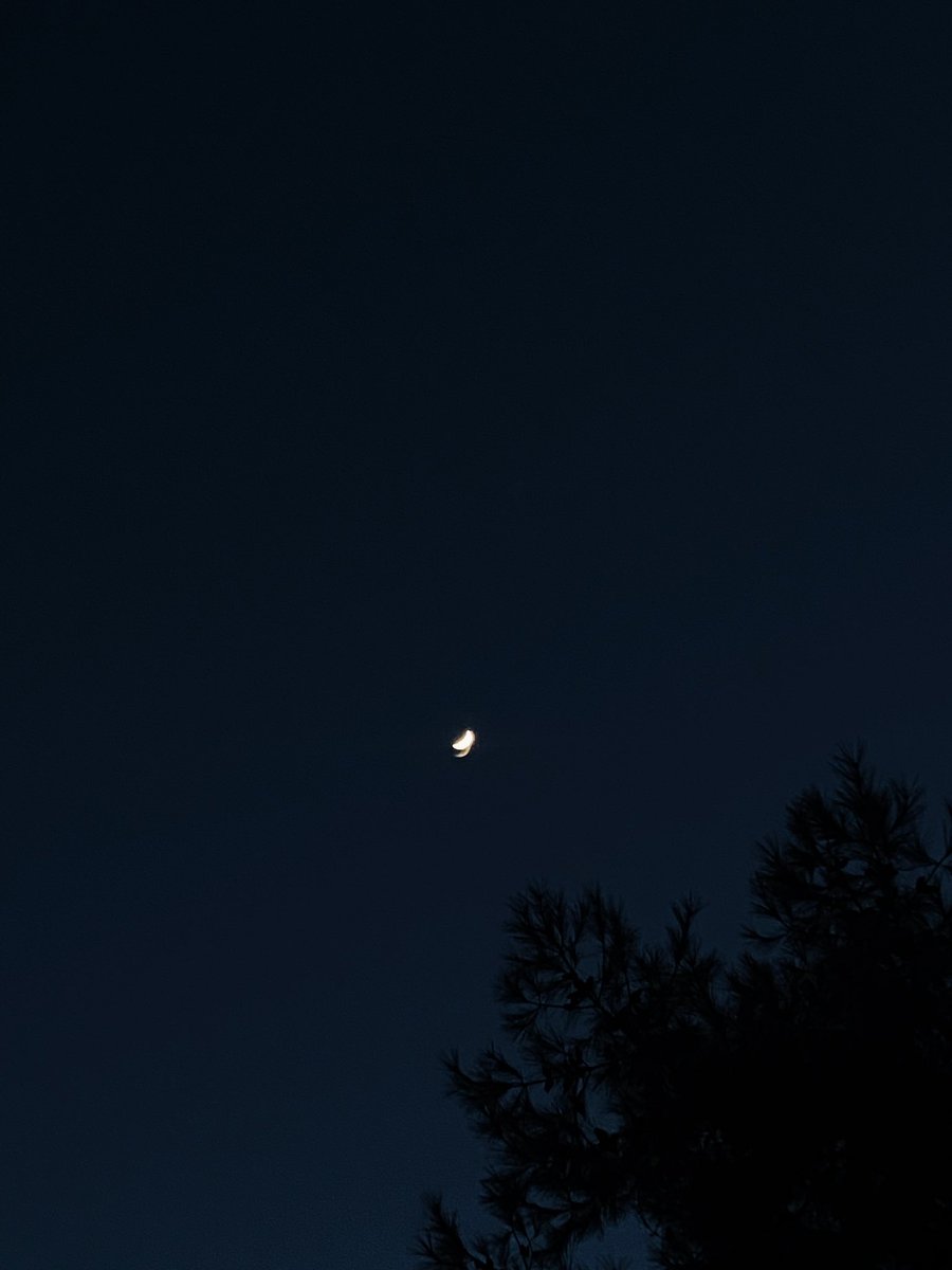 Cemre (@cemreesari) on Twitter photo 