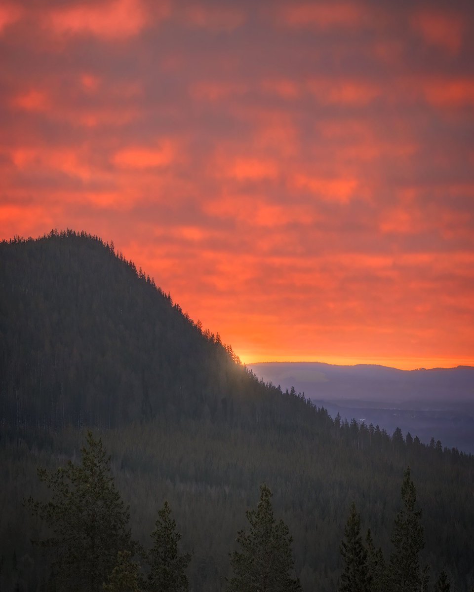 I had packed my camera bag and was on my way home to the cabin when the sky suddenly was lit up in a profound way. ”Mildly exited” I turn around the car at the narrow mountain road and speeded up to the location again and managed just in time to capture this scene.